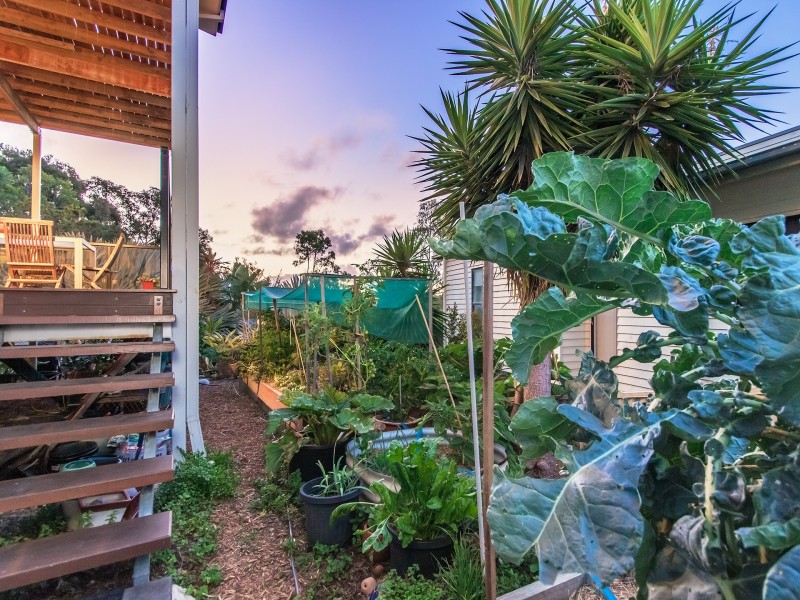 59 Cordyline Drive, Reedy Creek QLD 4227