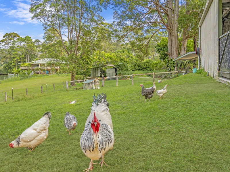 635 Gold Coast – Springbrook Road, Mudgeeraba QLD 4213