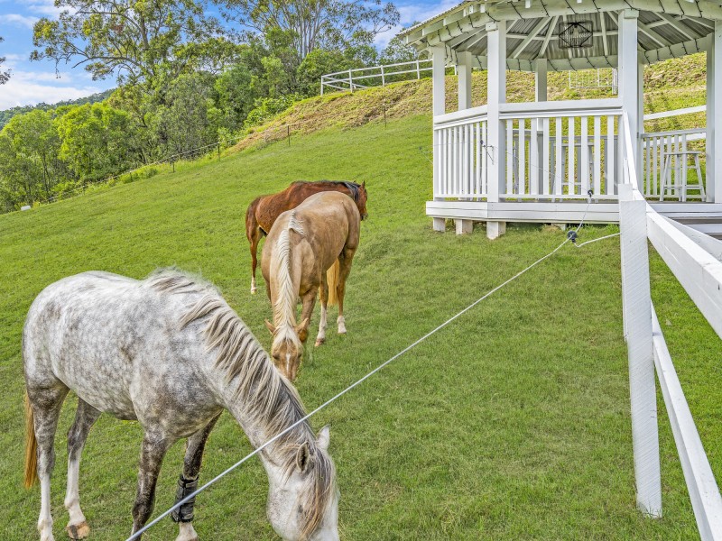 635 Gold Coast – Springbrook Road, Mudgeeraba QLD 4213