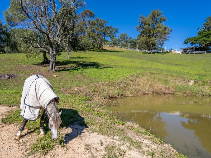 635 Gold Coast – Springbrook Road, Mudgeeraba QLD 4213