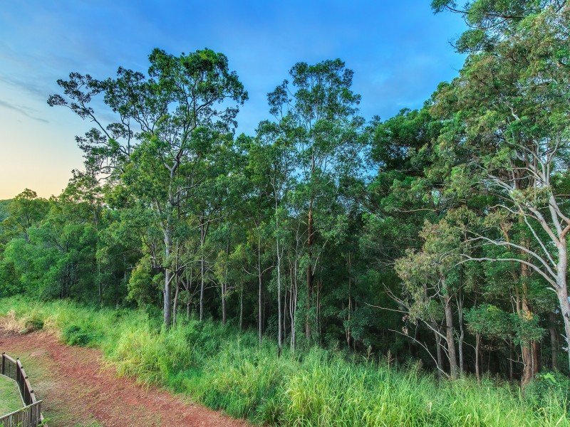 28 Bluebird Lane, Reedy Creek QLD 4227