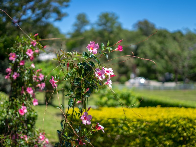 43 Charles Kurz Drive, Worongary QLD 4213