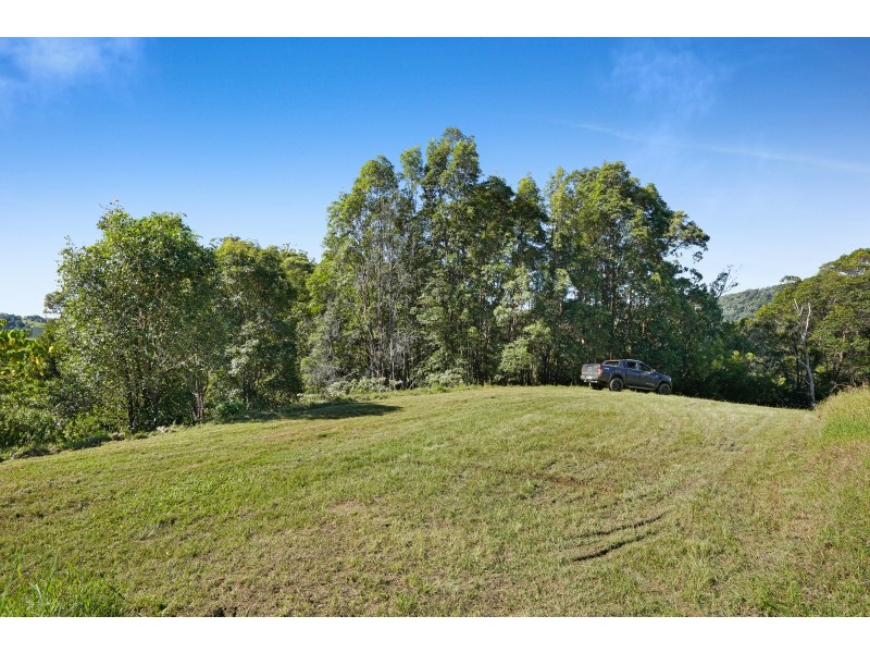 1310 Currumbin Creek Road, Currumbin Valley QLD 4223