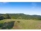 1310 Currumbin Creek Road, Currumbin Valley QLD 4223