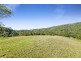 1310 Currumbin Creek Road, Currumbin Valley QLD 4223