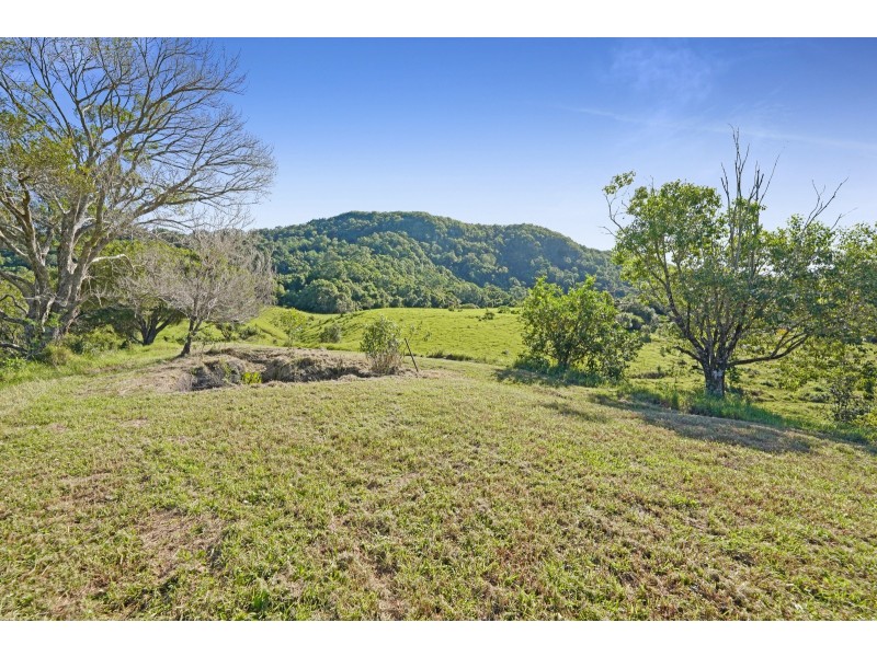 1310 Currumbin Creek Road, Currumbin Valley QLD 4223