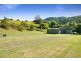 1310 Currumbin Creek Road, Currumbin Valley QLD 4223