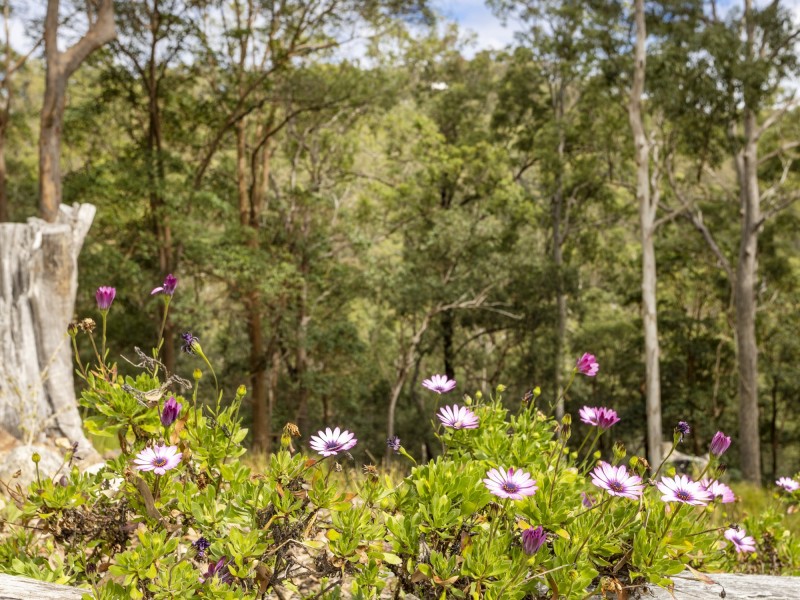 46 Tourmaline Court, Bonogin QLD 4213