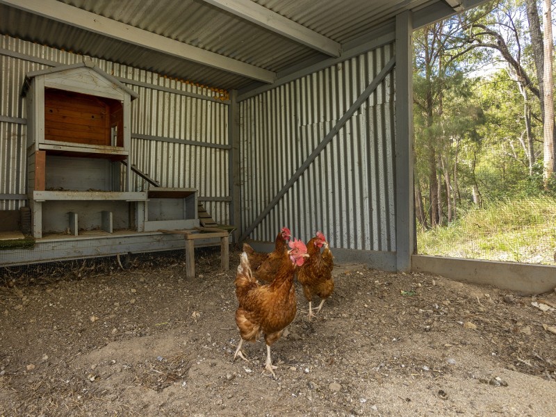 46 Tourmaline Court, Bonogin QLD 4213