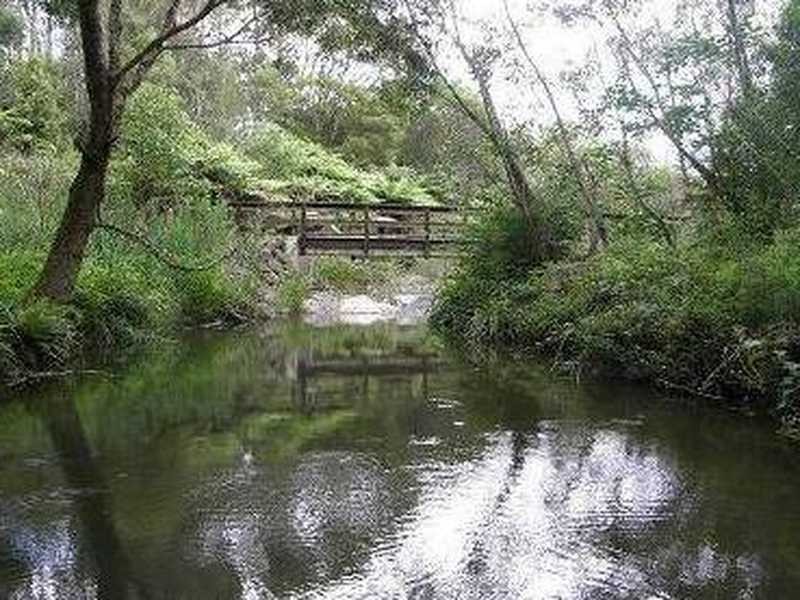 33 – 35 Lloyds Road, Springbrook QLD 4213