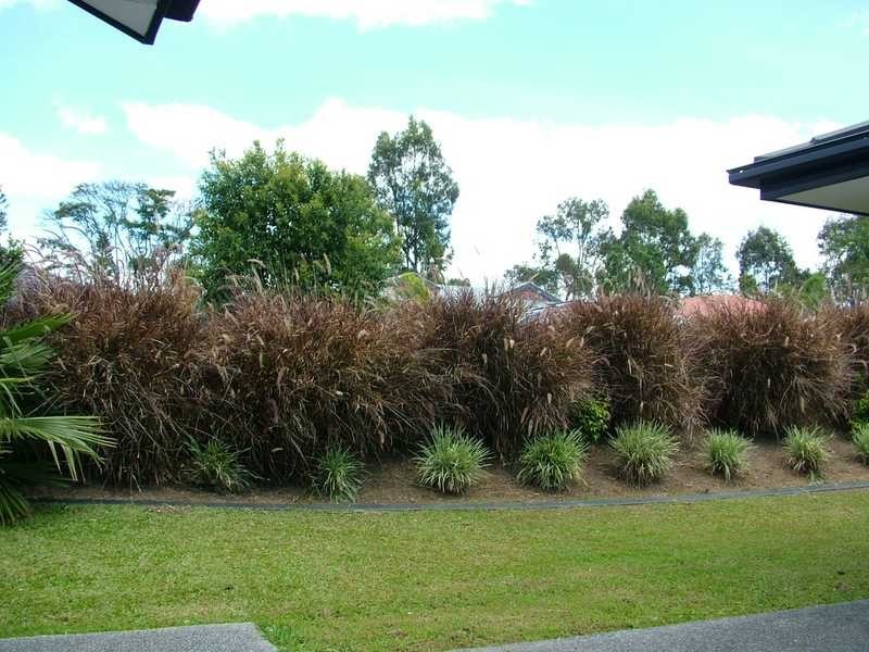 40 Antonson Crescent, Mudgeeraba QLD 4213