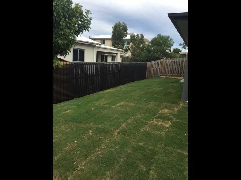 37 Parkvista Circuit, Coomera QLD 4209