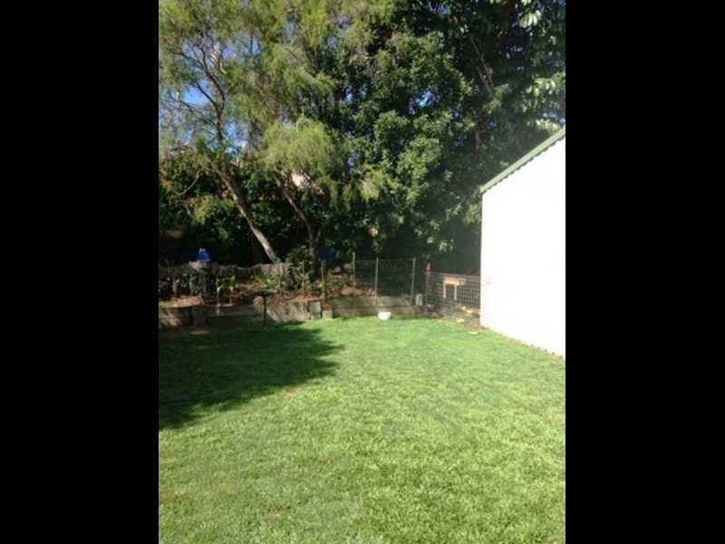 13 Studio Drive, Oxenford QLD 4210