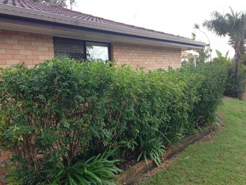 1/26 Botanical Drive, Labrador QLD 4215