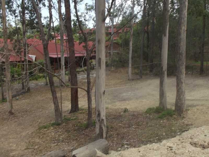16 Mooralla Street, Tallai QLD 4213