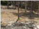 16 Mooralla Street, Tallai QLD 4213