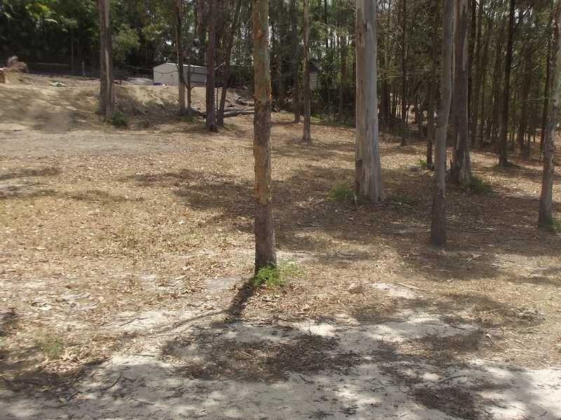 16 Mooralla Street, Tallai QLD 4213