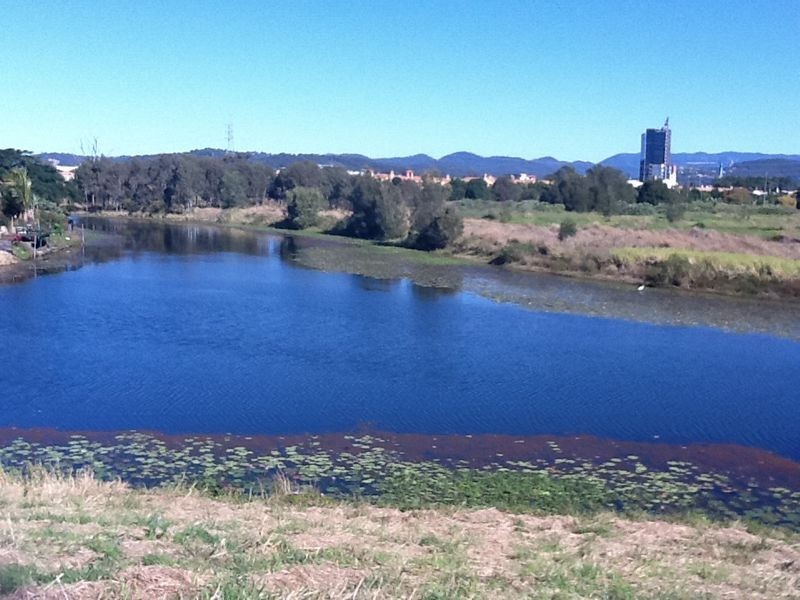 66 Peach Drive, Robina QLD 4226