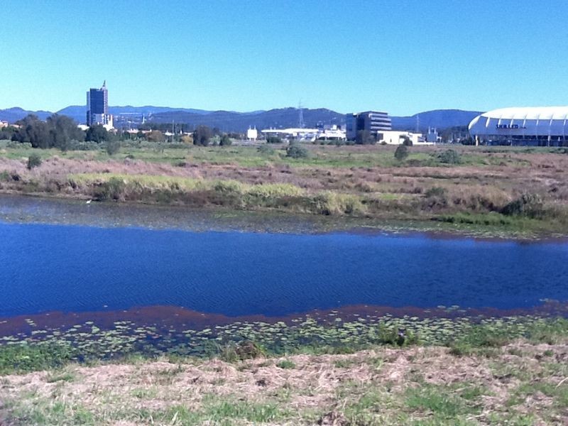 66 Peach Drive, Robina QLD 4226