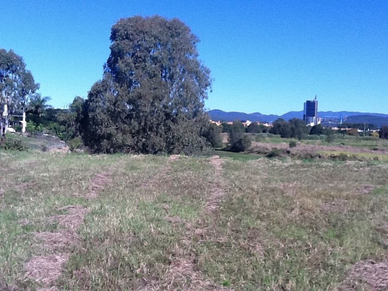 66 Peach Drive, Robina QLD 4226