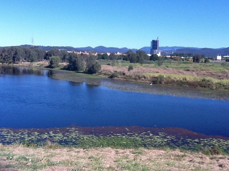 66 Peach Drive, Robina QLD 4226