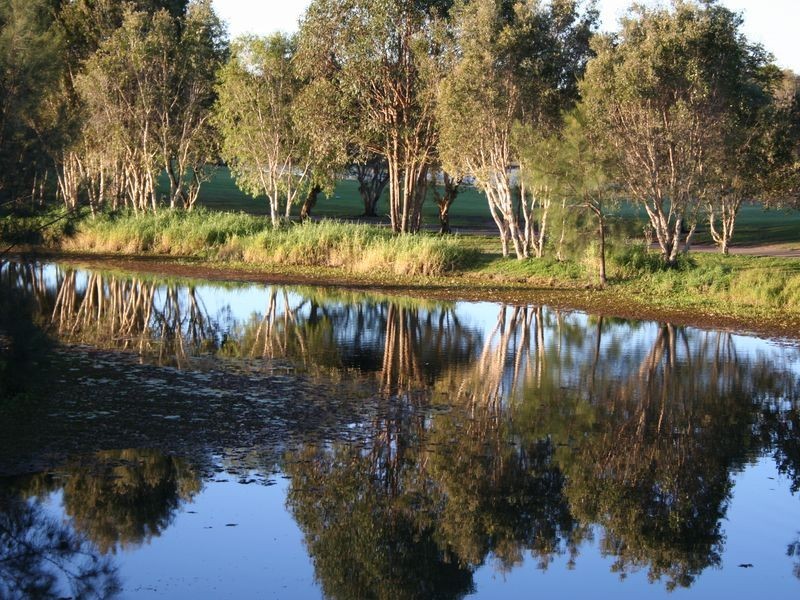 66 Peach Drive, Robina QLD 4226