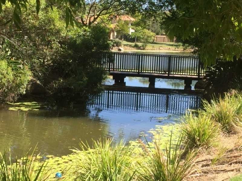 20 Elfin Street, Robina QLD 4226