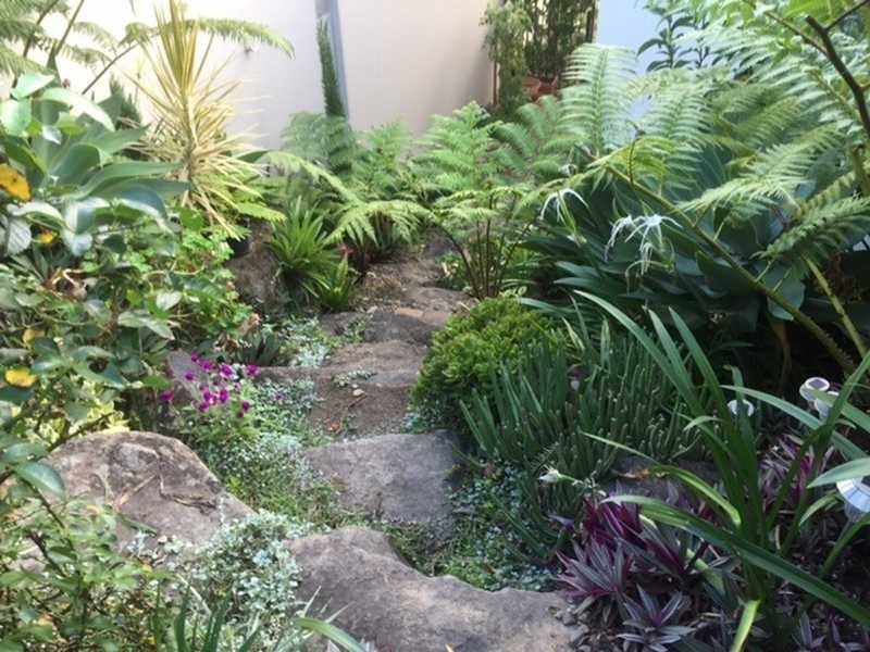 20 Elfin Street, Robina QLD 4226