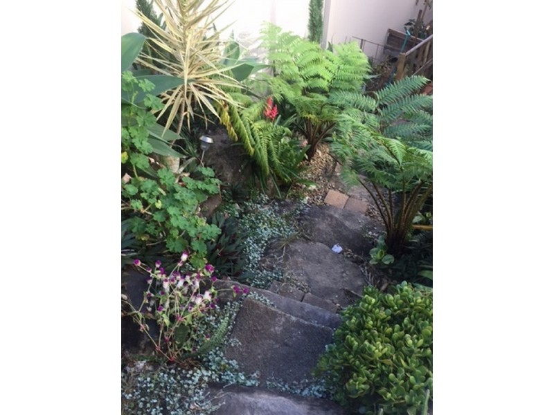 20 Elfin Street, Robina QLD 4226