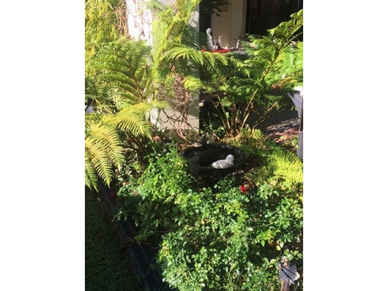 20 Elfin Street, Robina QLD 4226