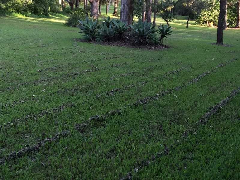 9A Tallai Road, Tallai QLD 4213