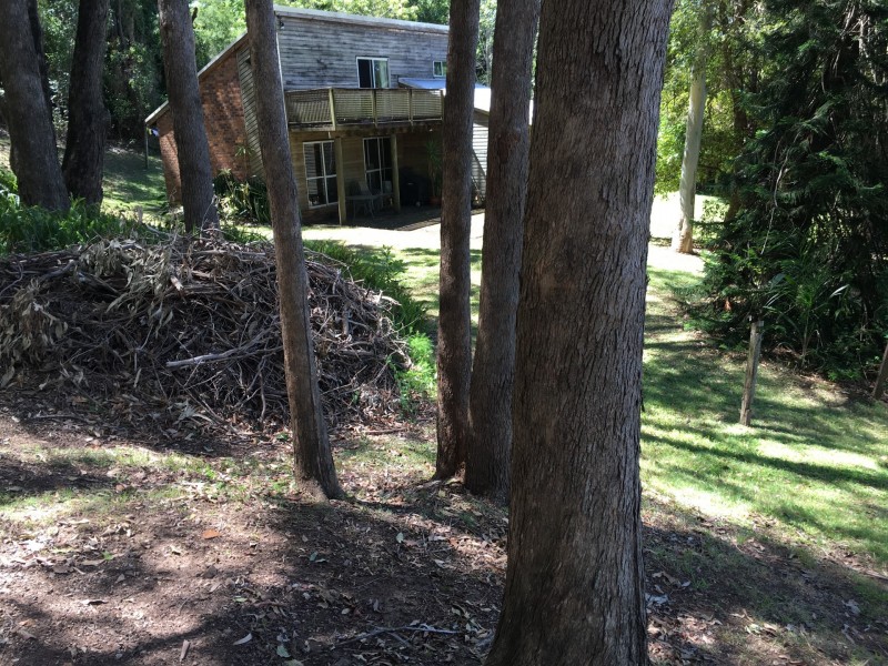 4 Firth Place, Mudgeeraba QLD 4213