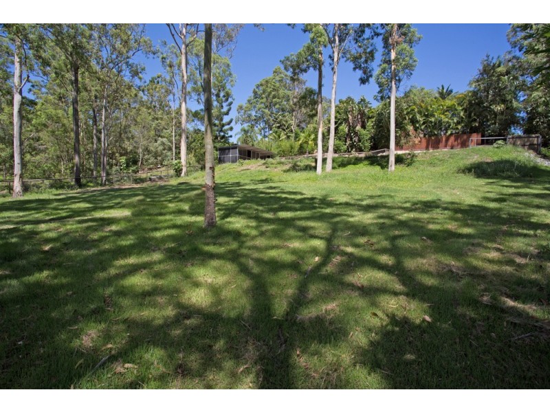 16 Mooralla Street, Tallai QLD 4213