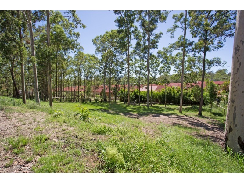 16 Mooralla Street, Tallai QLD 4213