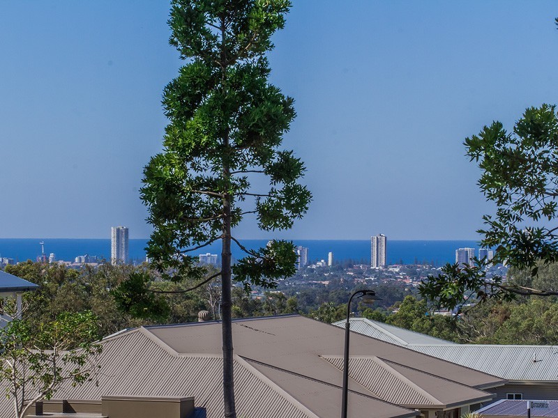 14 Southern Skies Avenue, Reedy Creek QLD 4227