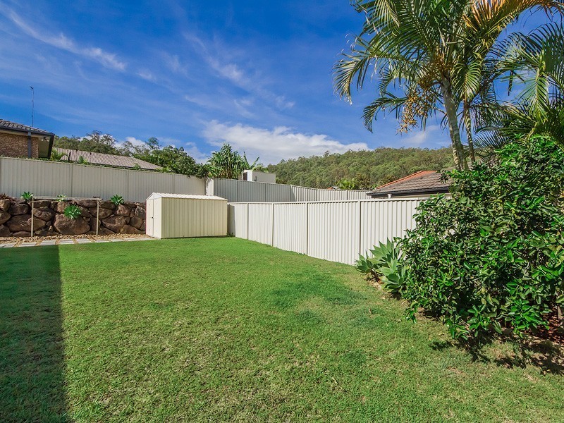 1 Coffeebush Court, Reedy Creek QLD 4227