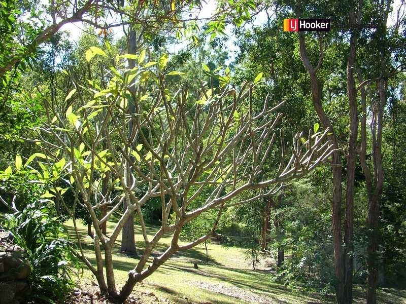 11 Natan Road, Mudgeeraba QLD 4213