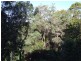 29 Cobai Drive, Mudgeeraba QLD 4213