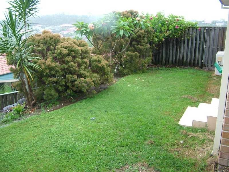 14 Buffalo Cres, Pacific Pines QLD 4211