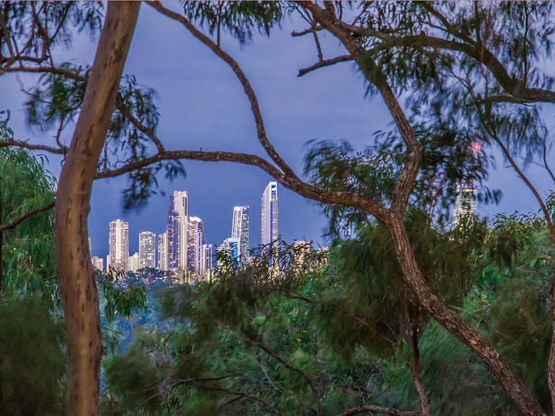 41 Coralcoast Drive, Tallai QLD 4213