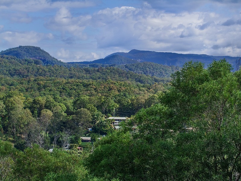 10 Dalwood Court, Tallebudgera QLD 4228