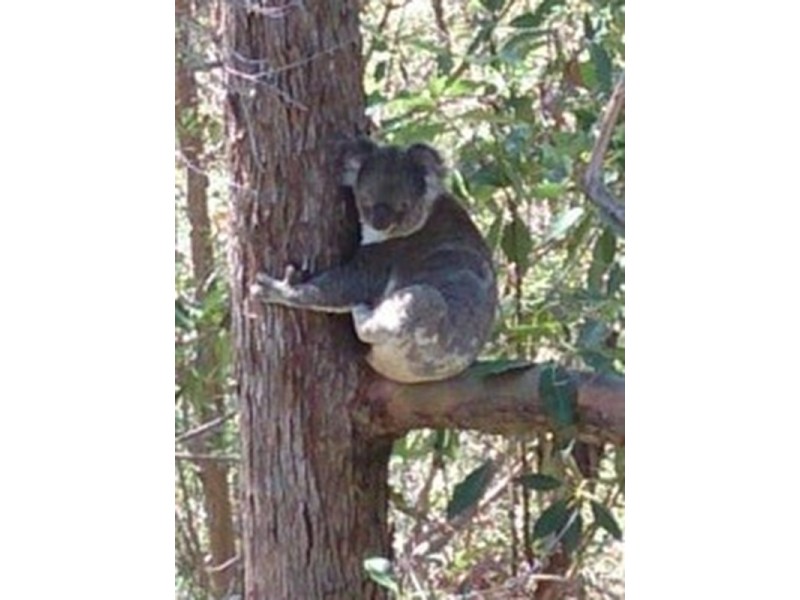 7-9 Calcita Avenue, Elanora QLD 4221