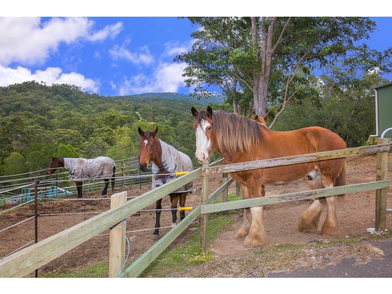 539 Bonogin Road, Bonogin QLD 4213