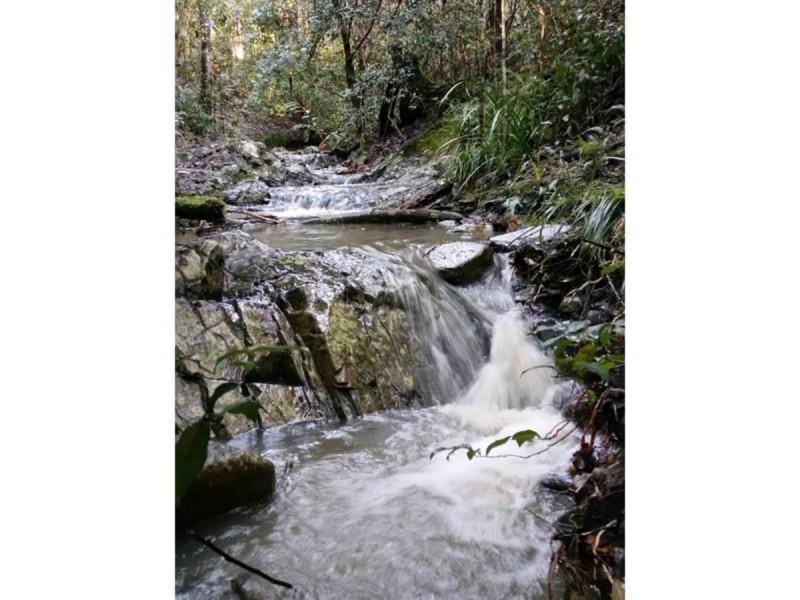 31 Tanaka Avenue, Bonogin QLD 4213