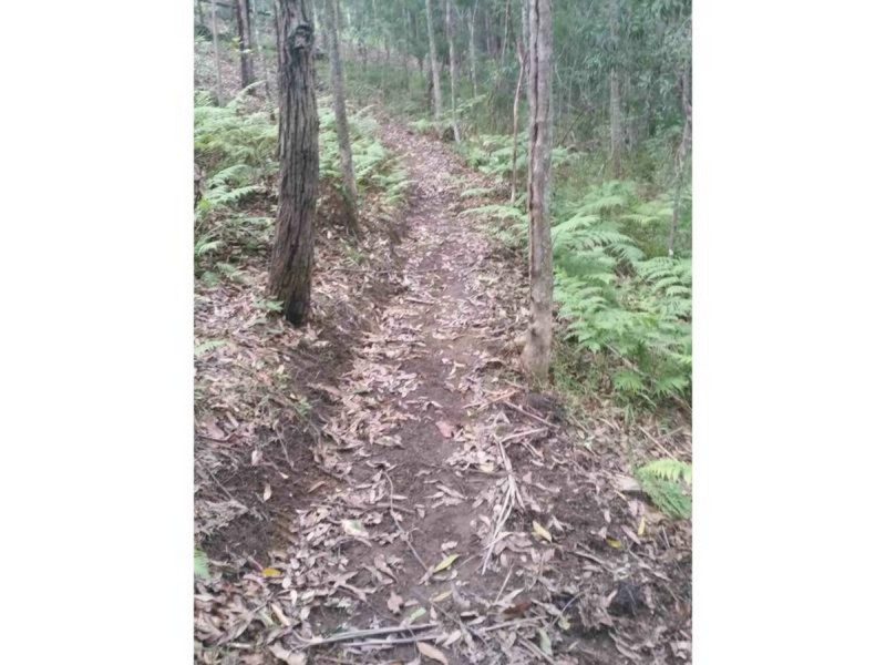 31 Tanaka Avenue, Bonogin QLD 4213