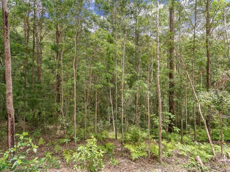 31 Tanaka Avenue, Bonogin QLD 4213