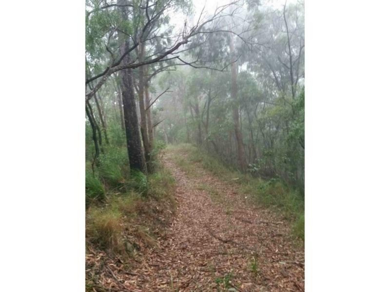 31 Tanaka Avenue, Bonogin QLD 4213