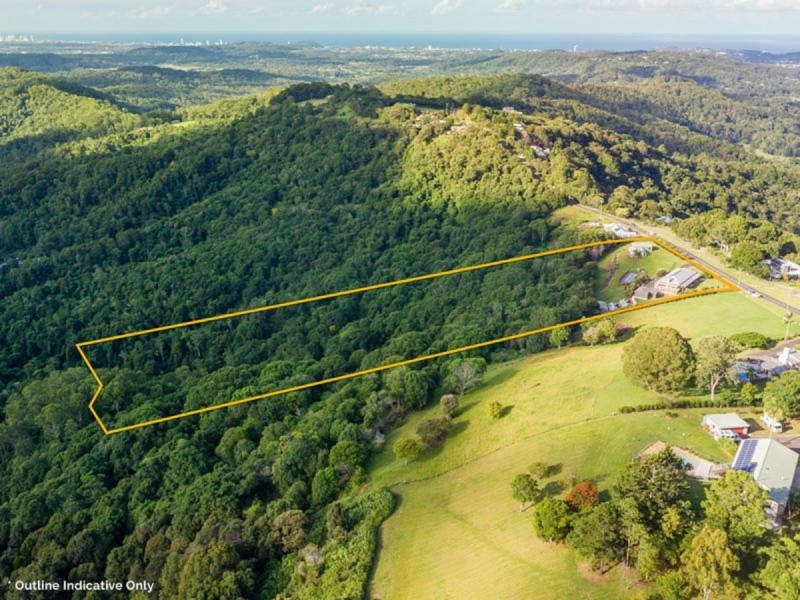 620 Trees Road, Tallebudgera QLD 4228