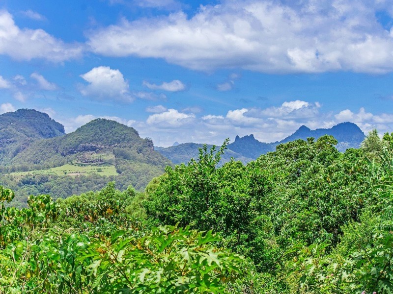 65 Sunray Drive, Bonogin QLD 4213