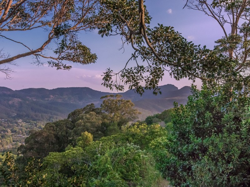 65 Sunray Drive, Bonogin QLD 4213